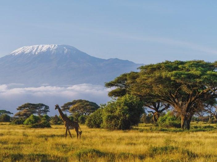 Premier voyage en Afrique