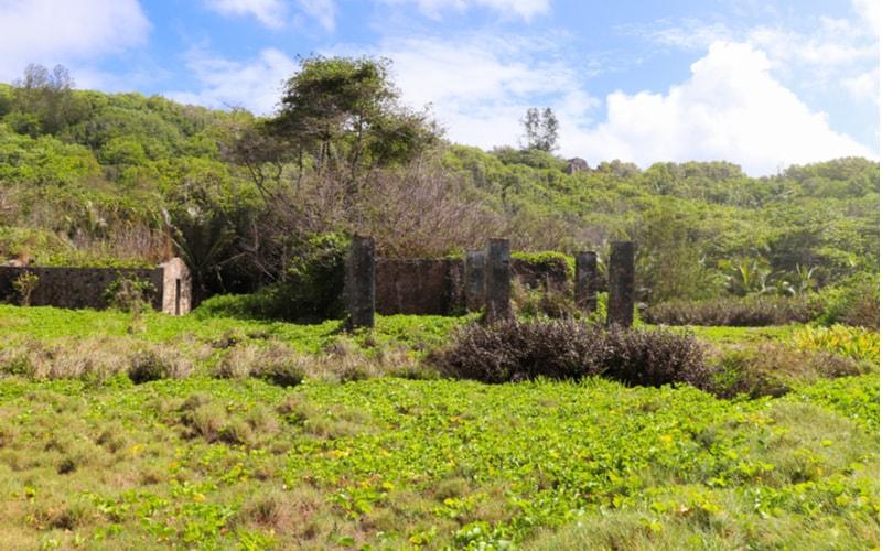 isola-santa-maria