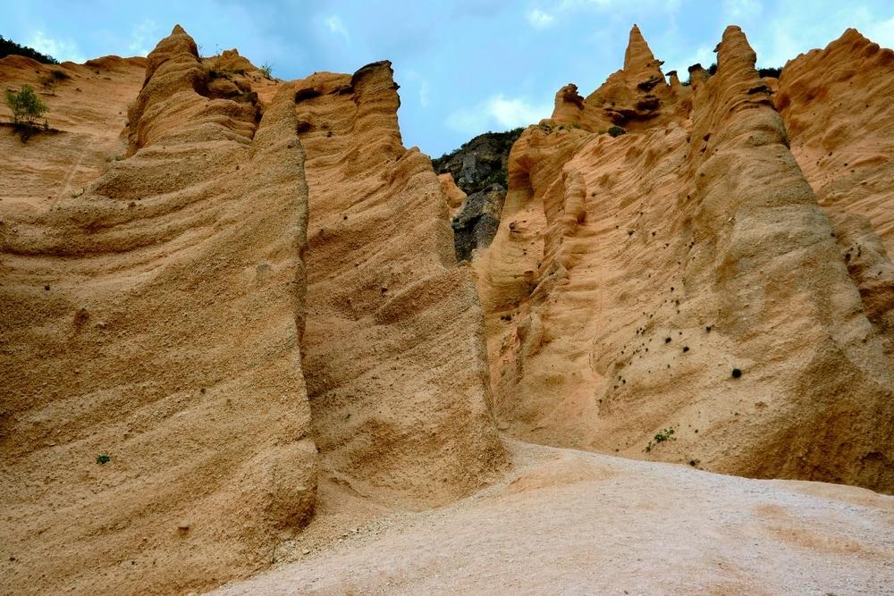 Lame Rosse