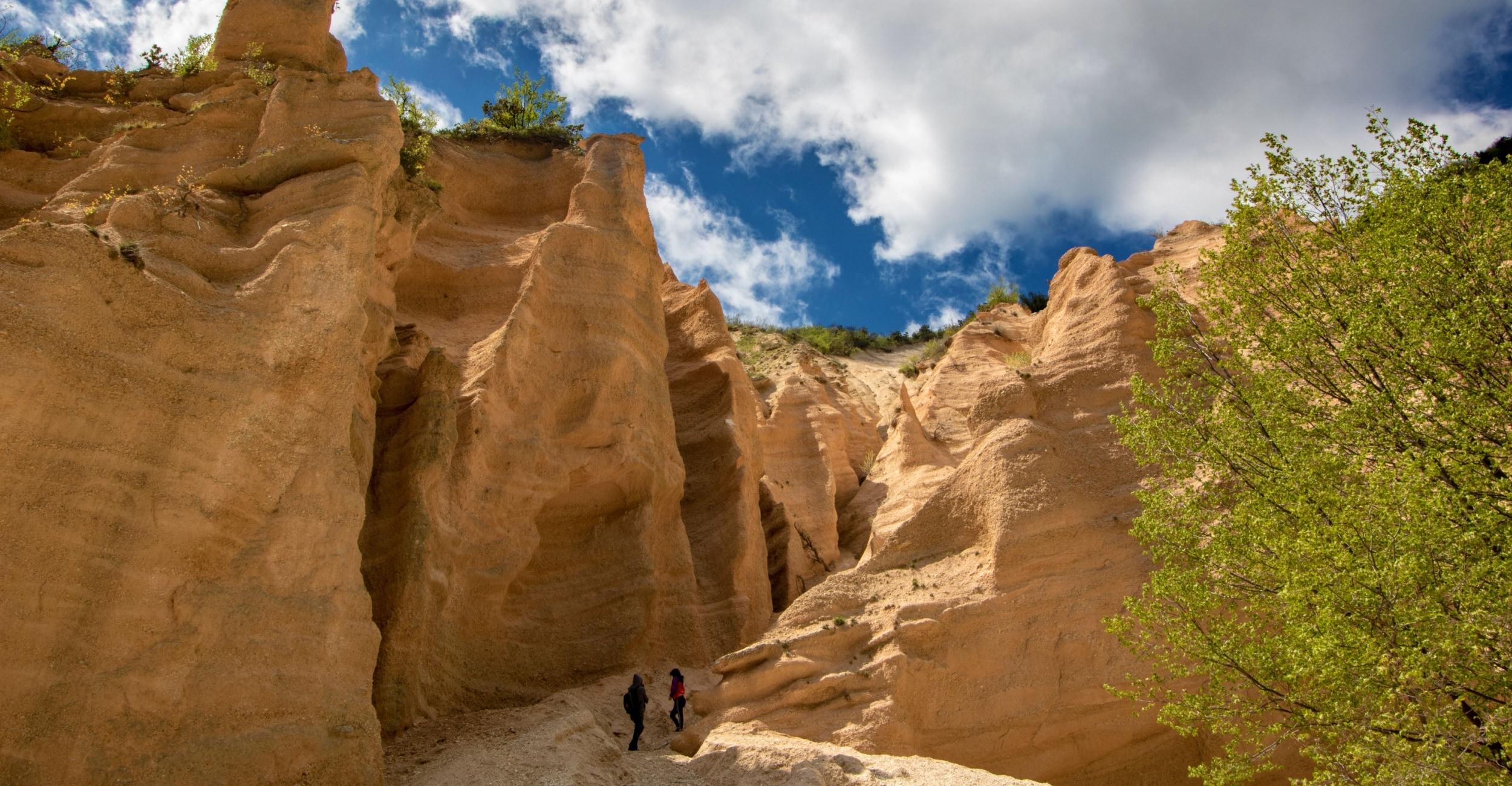 Lame Rosse