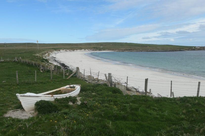 Papa Westray