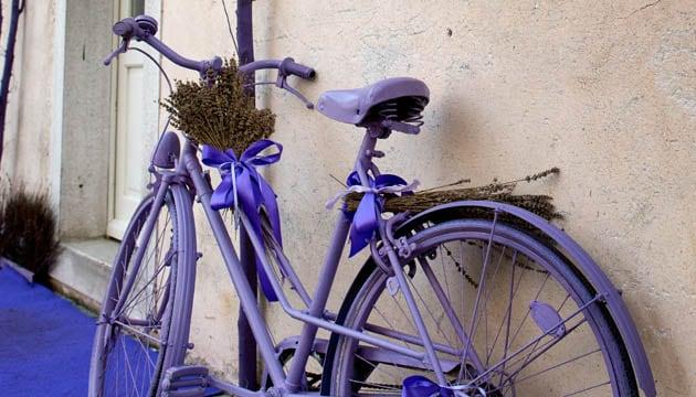 lavanda_1