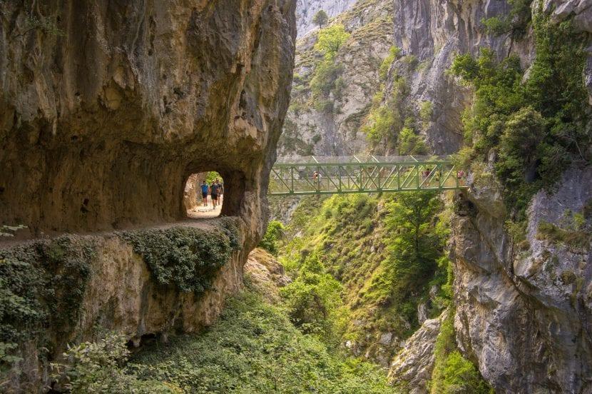 Ruta del Care