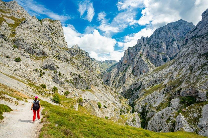 Picos de Europa