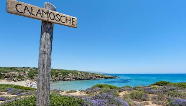 spiaggia-calamosche-1