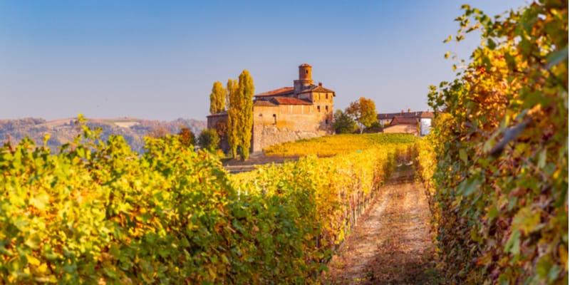 strada-du-barolo