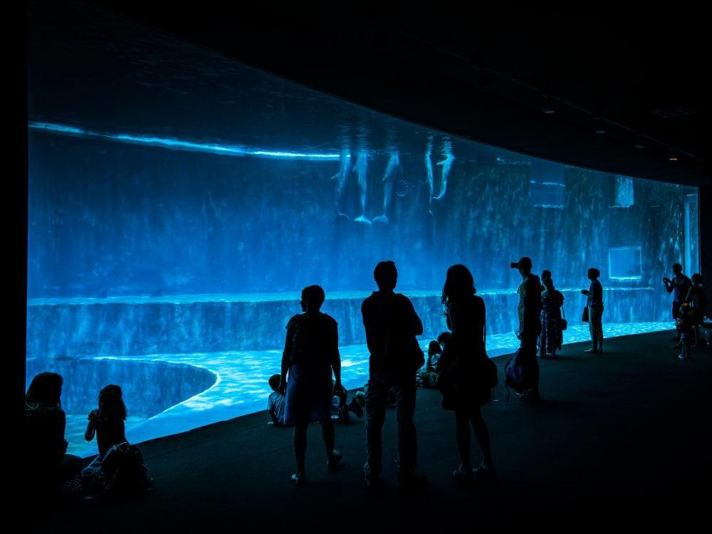 aquarium de Gênes