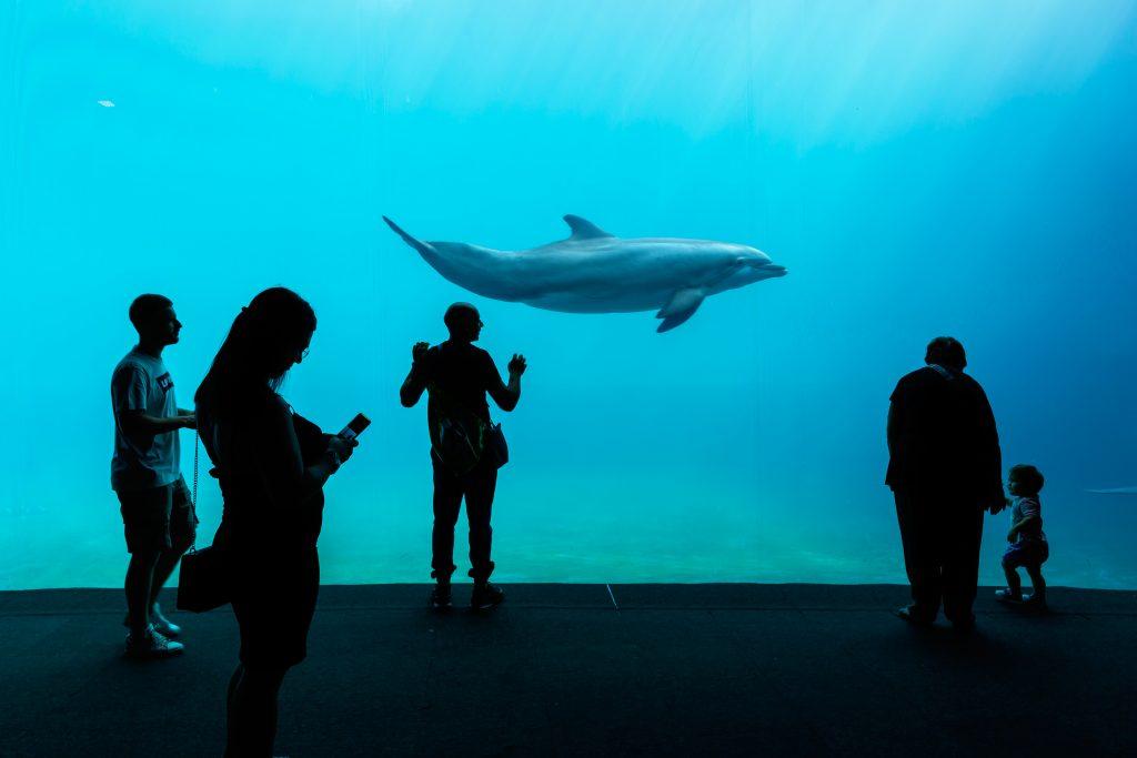 aquarium de Gênes