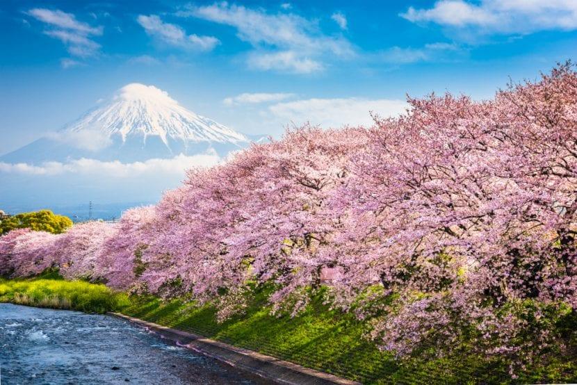 Monte Fuji