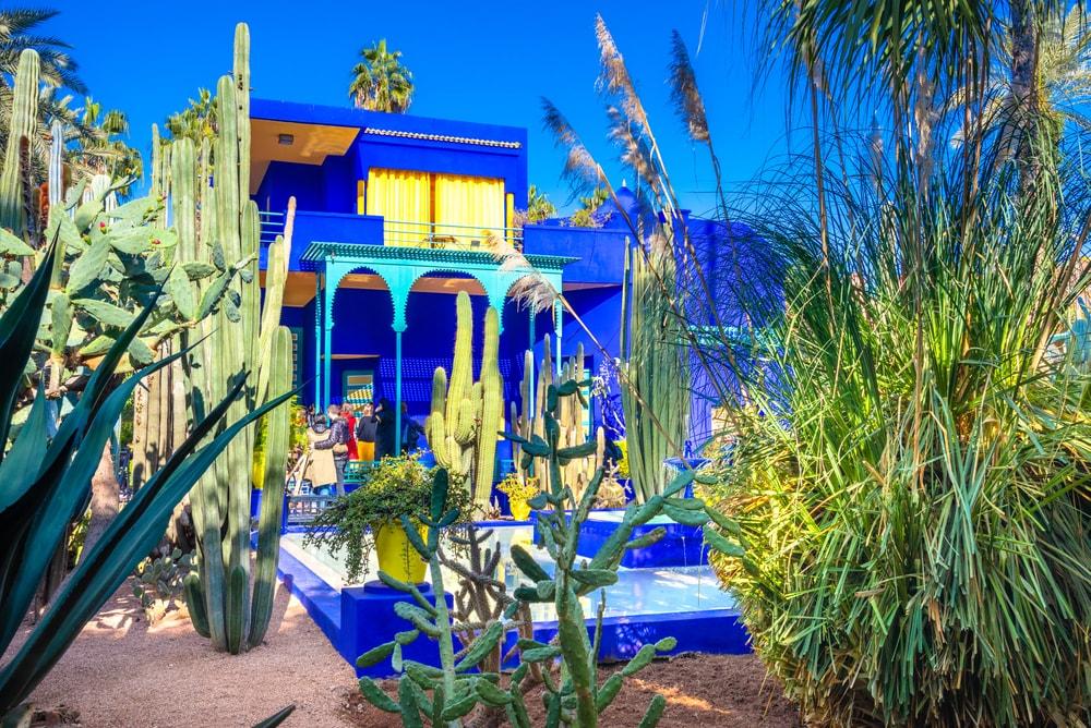 Jardin Majorelle: fotos más bonitas