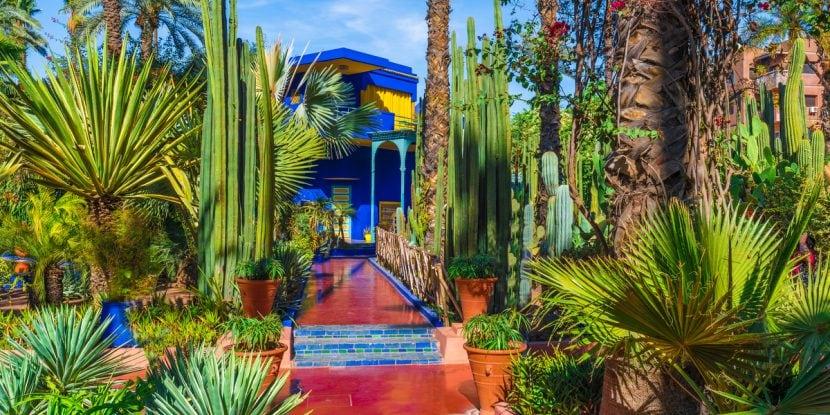 Majorelle