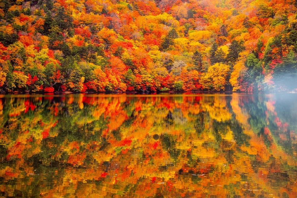 Nikko