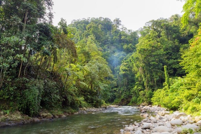 Parc national de Gunung Leuser