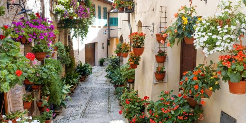 spello-immagine