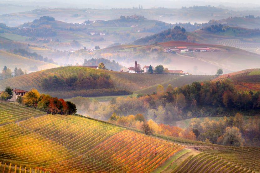 Barolo 
