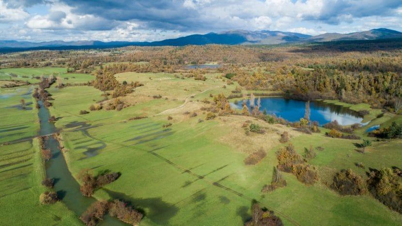 Pivka