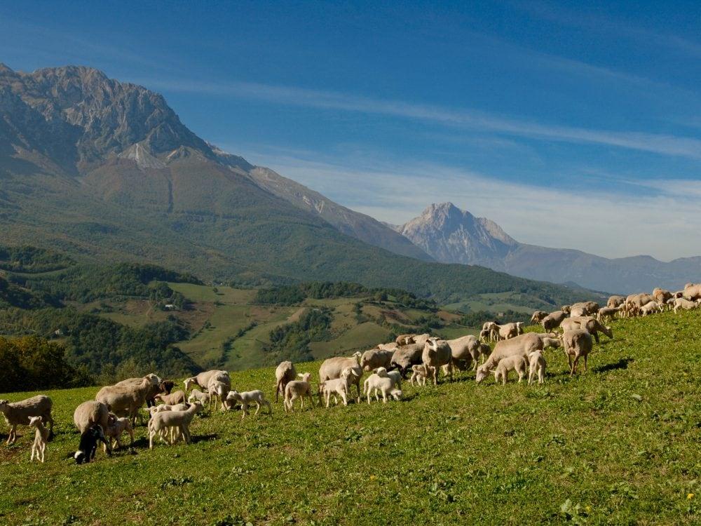 farindola abruzzo