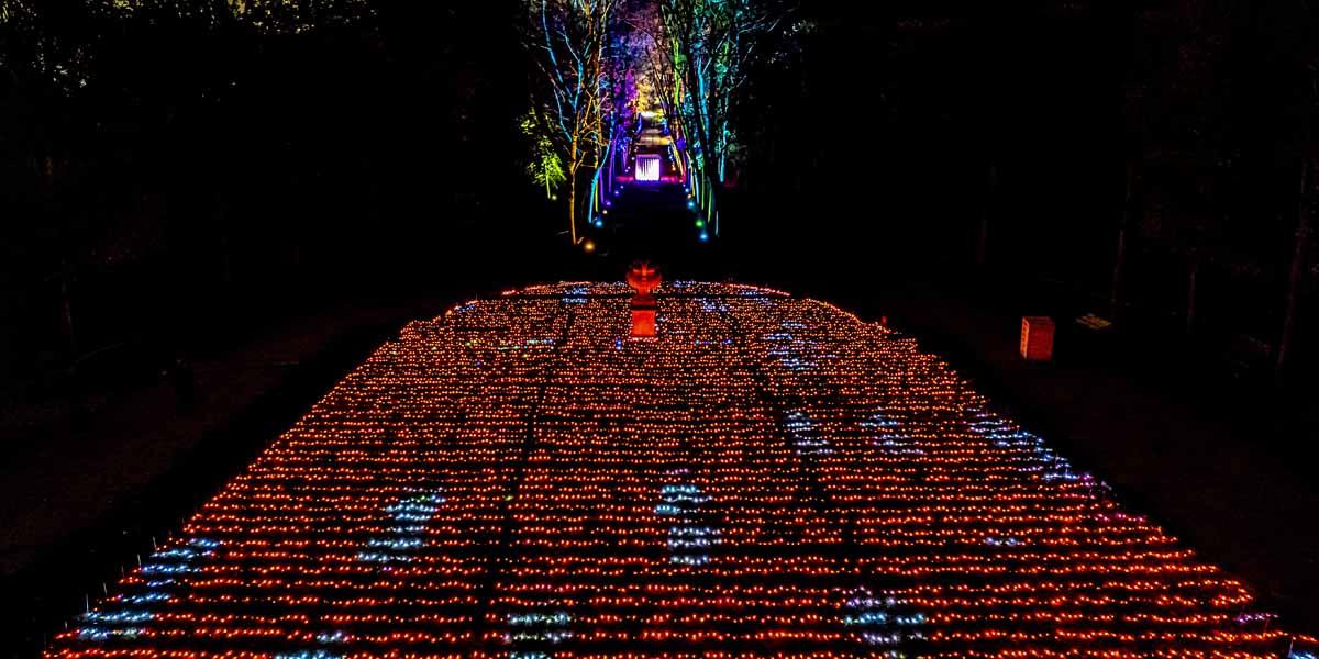 luminarie-navidad-paris-foto
