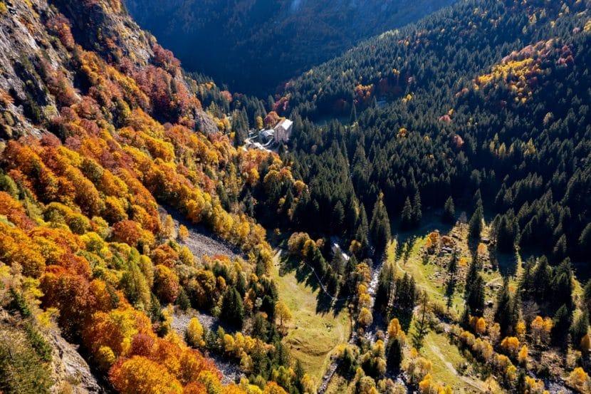 La Forêt des Bagni di Masino