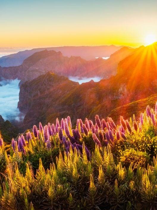 Le Hawaii d'Europe : une île où il fait toujours printemps