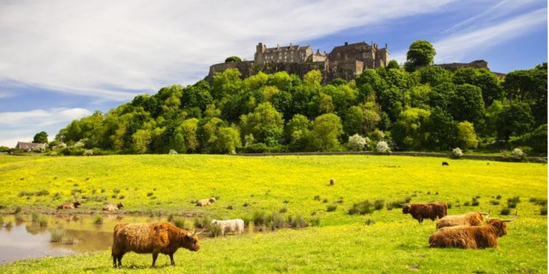stirling_1
