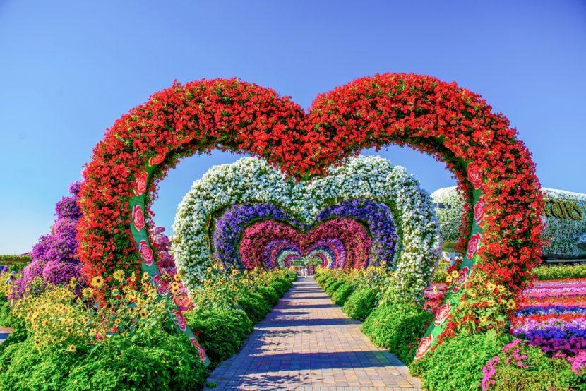 Jardin des merveilles