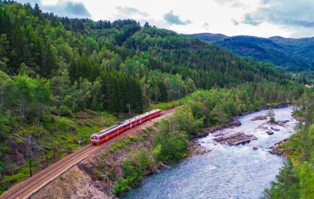 train-panoramique-norvege_1