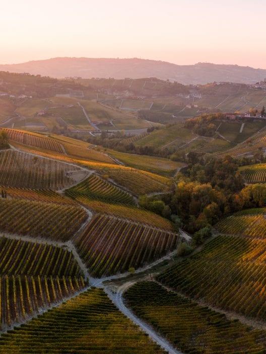 La magie des 'masche' et le secret des vignes les plus célèbres du Piémont