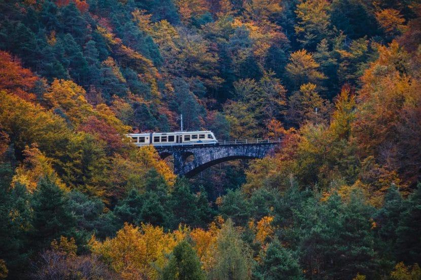 Treno del Foliage