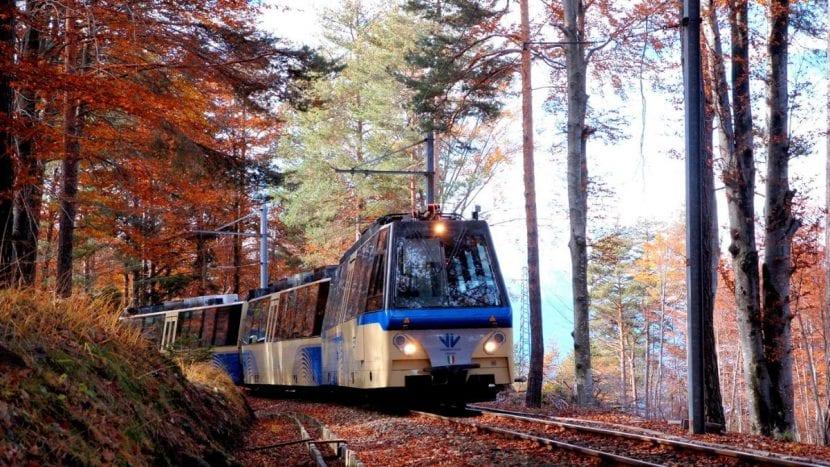 Train du Foliage