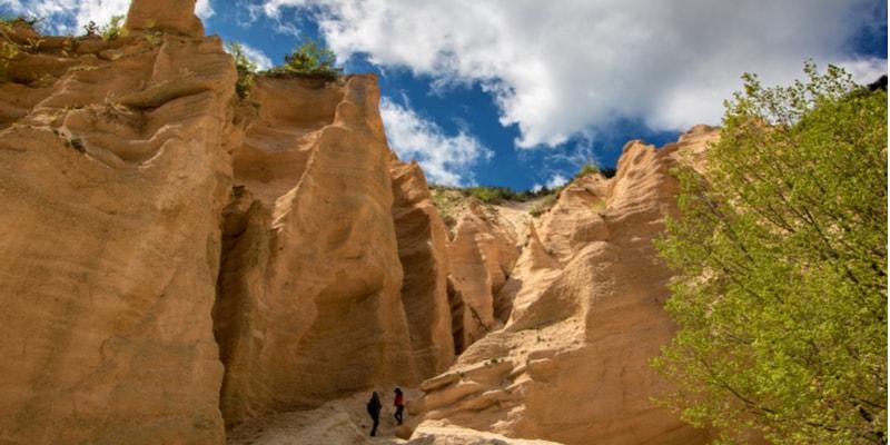Lame Rosse