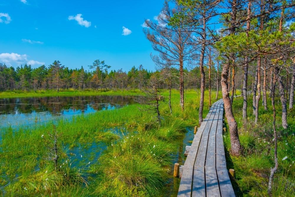 Parc National de Lahemaa
