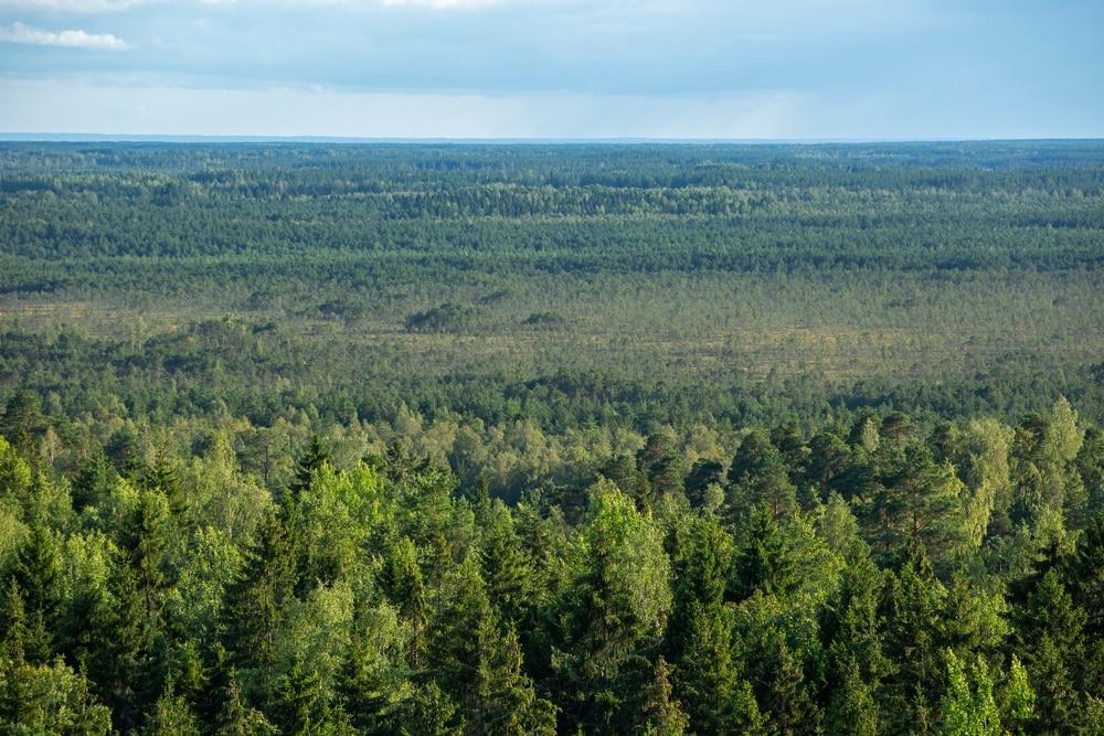 Parc National d'Alutaguse