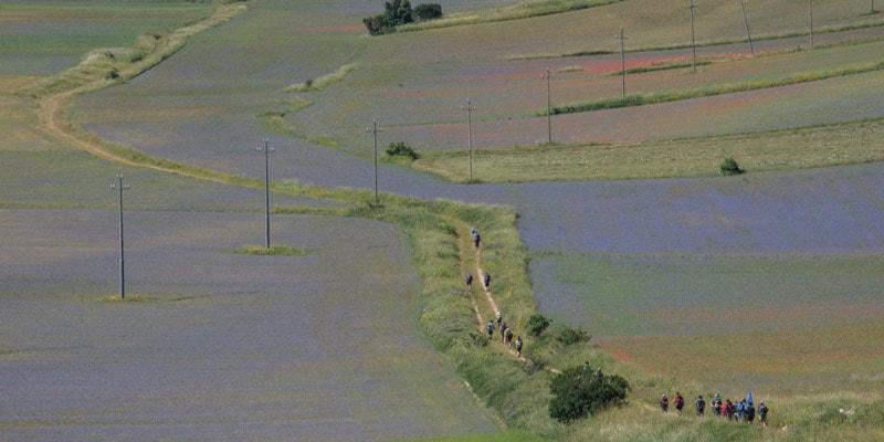 chemin-nelle-terre-mutate-castelluccio-di-norcia
