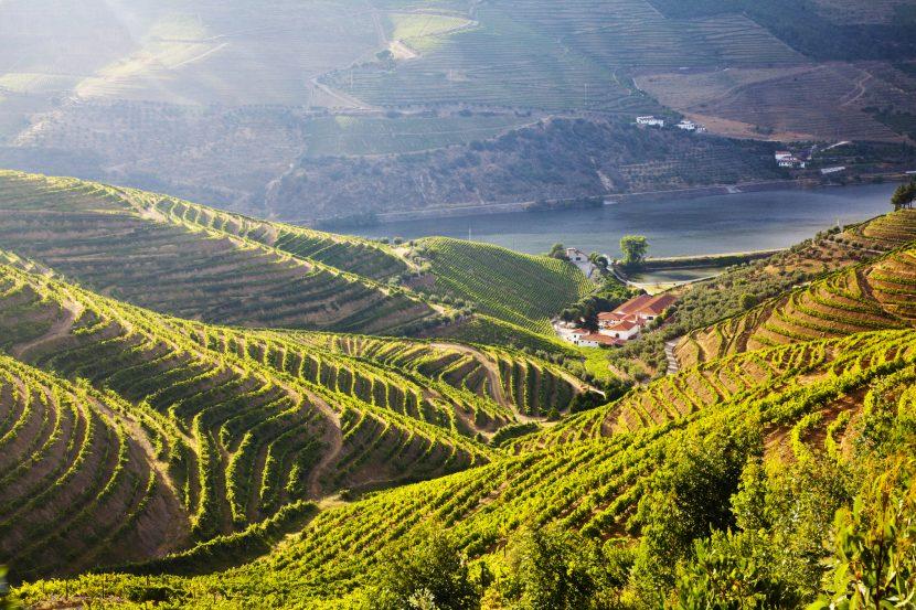 Valle del Duero