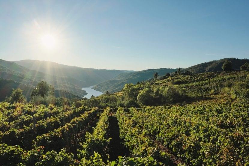 Ribeira Sacra