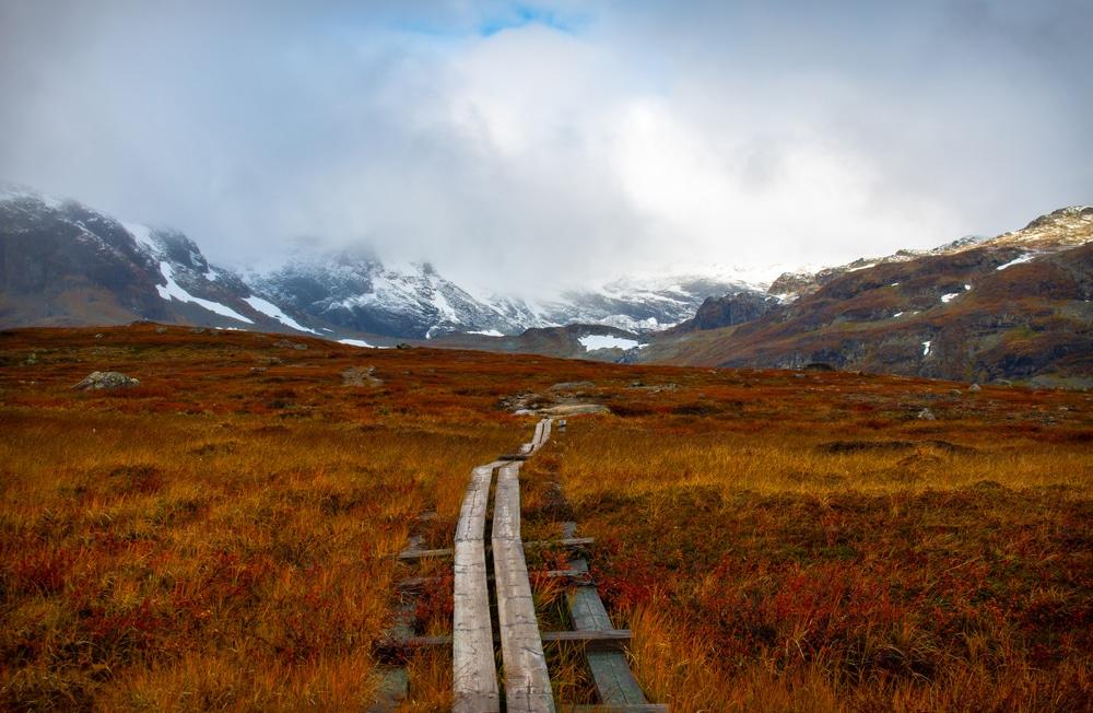 Sentier du Roi