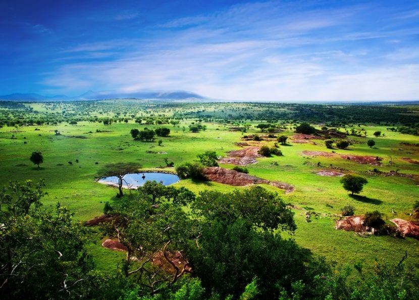 Tanzanie