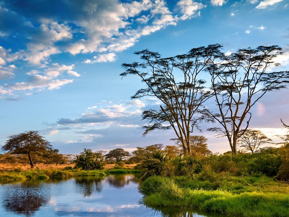 Parc National du Serengeti
