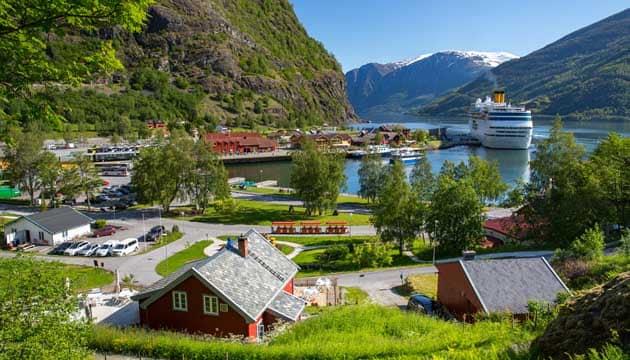 flam-cosa-fare