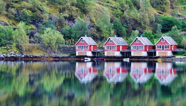 flam-cosa-vedere