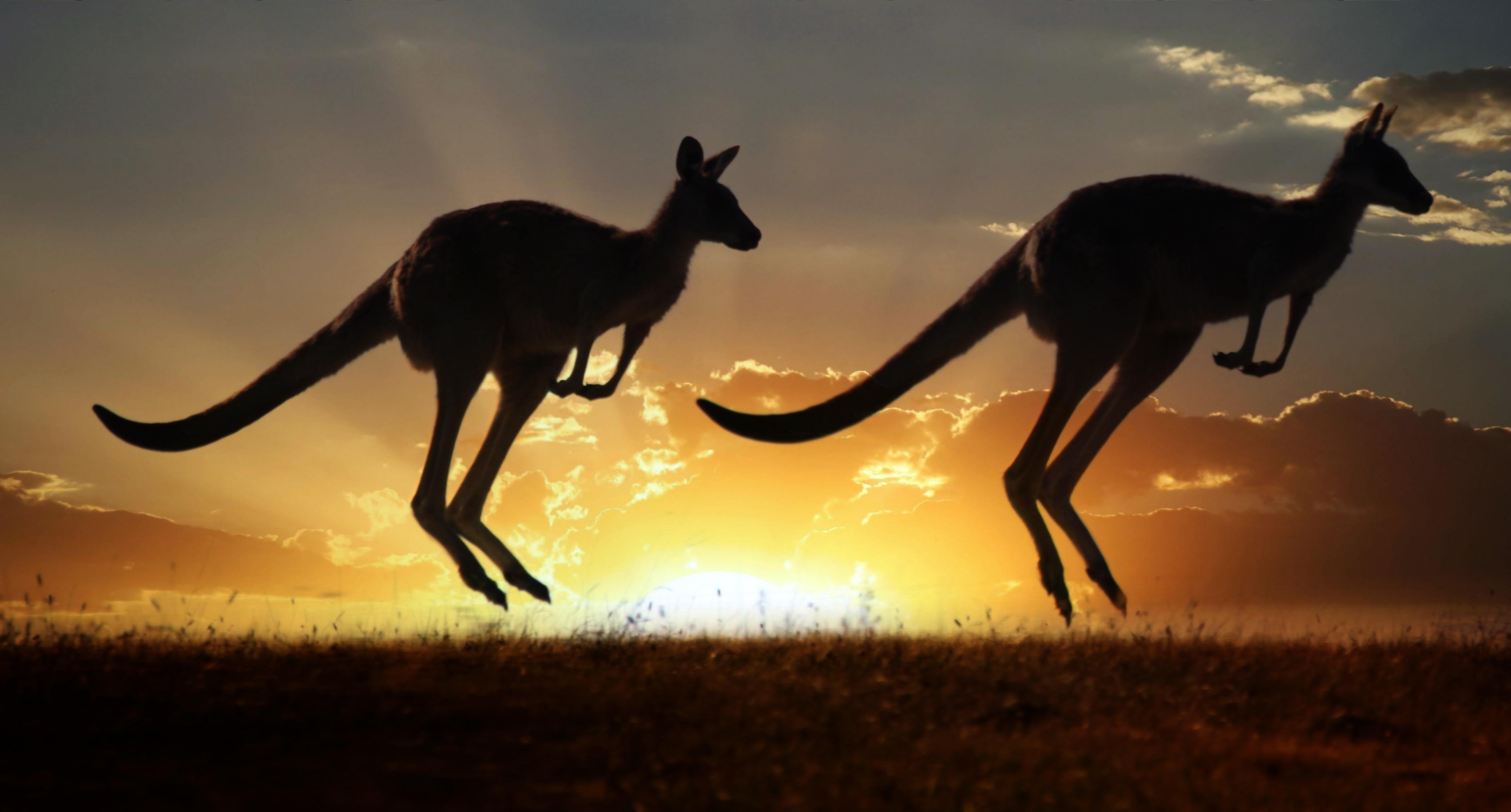 australie-comment-aller-vivre