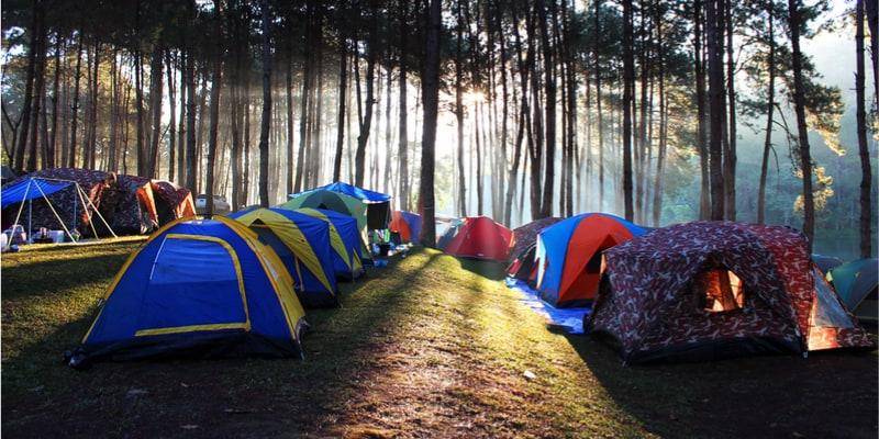 camping-foret