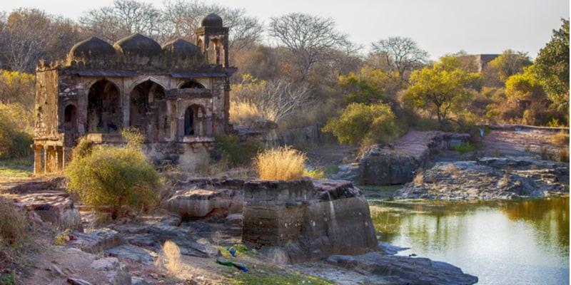 ranthambore-parco