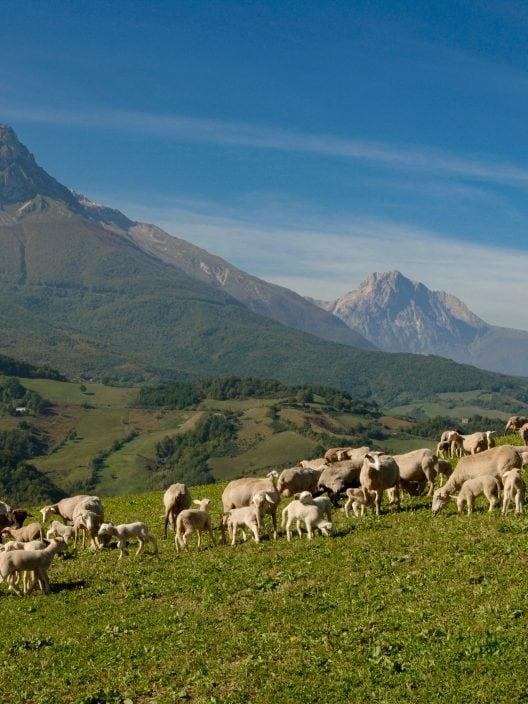 Des lieux cachés en Abruzzo qui semblent sortis d'un conte de fées