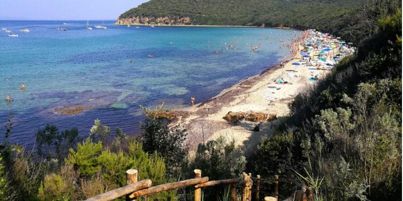cala-violina-foto