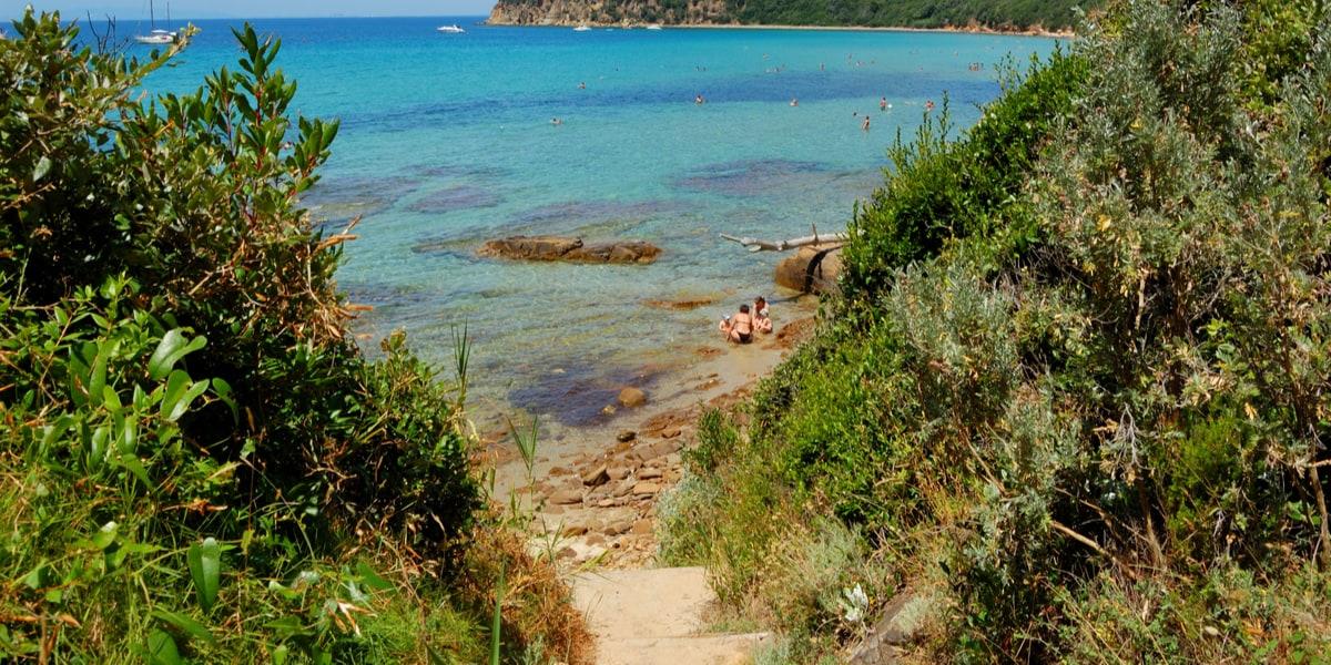 cala-violina-immagini