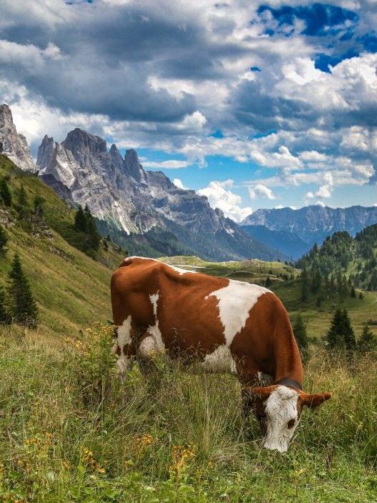Assomption en montagne : la vallée la plus fascinante des Dolomites trentines