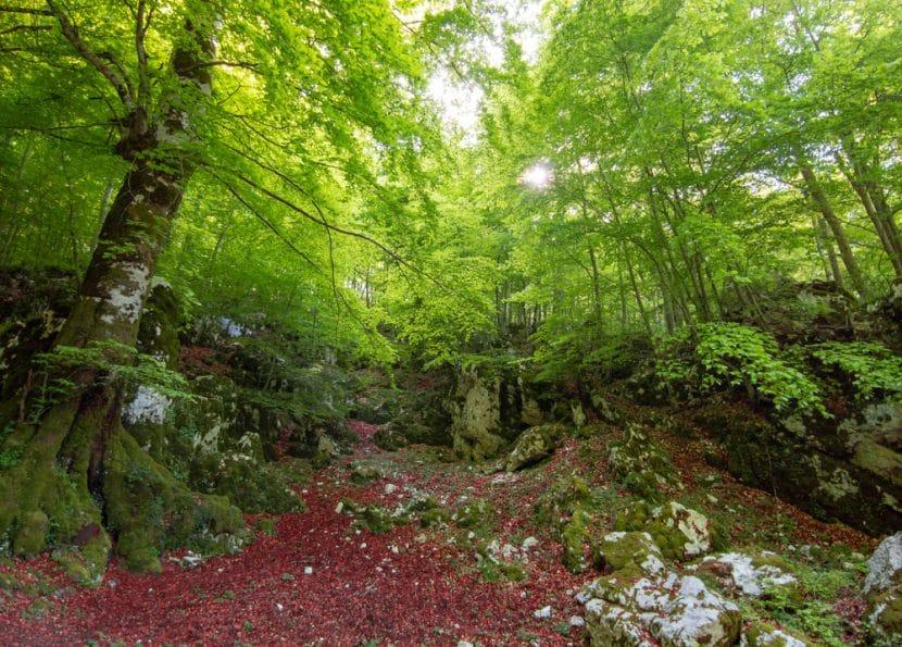 Monts Lépin
