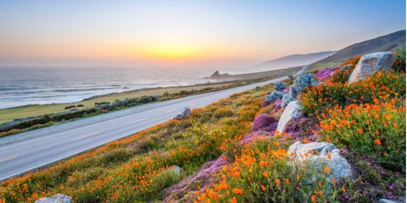 big-sur